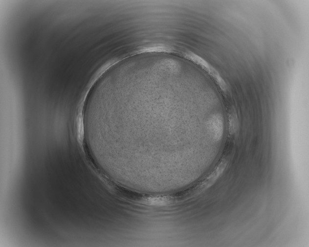 X0000101091274200807241000