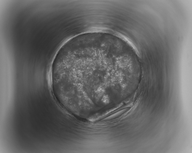 X0000101091275200807241000