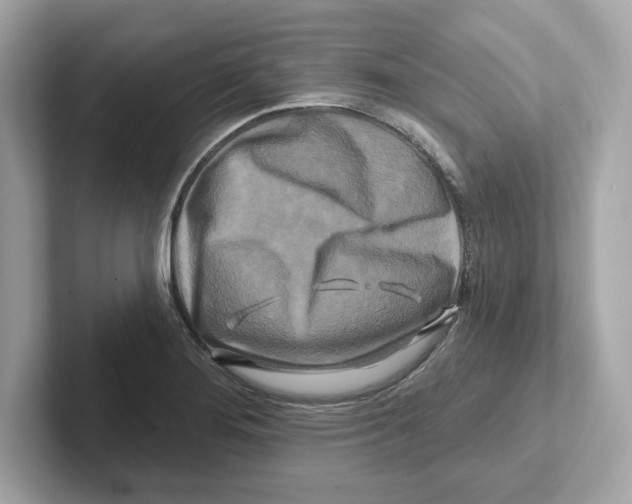 X0000101091276200807241000