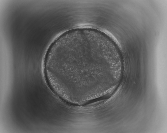 X0000101091277200807241000