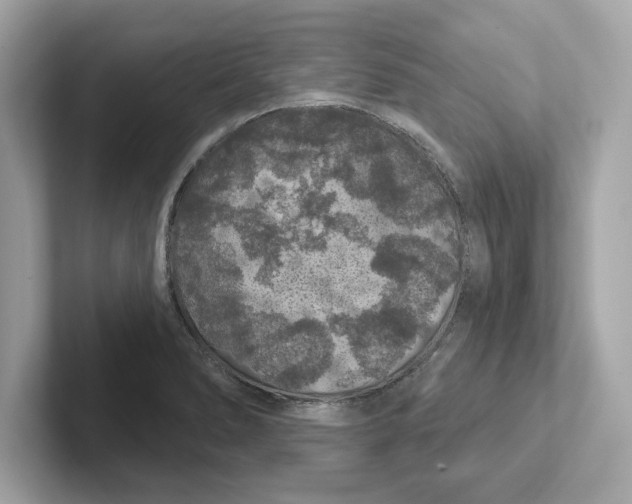 X0000101091278200807241000