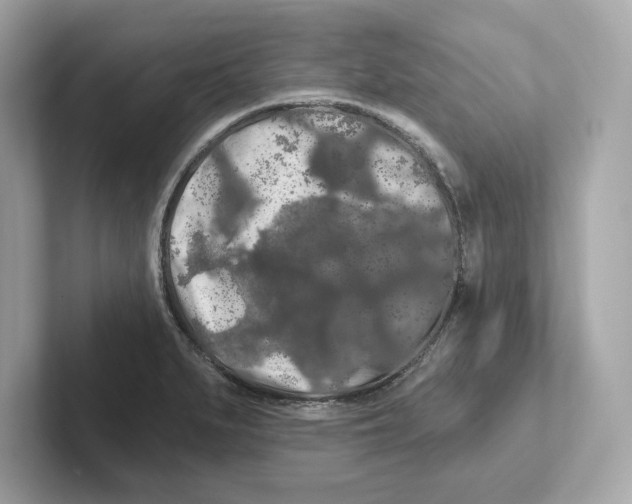 X0000101091279200807241000