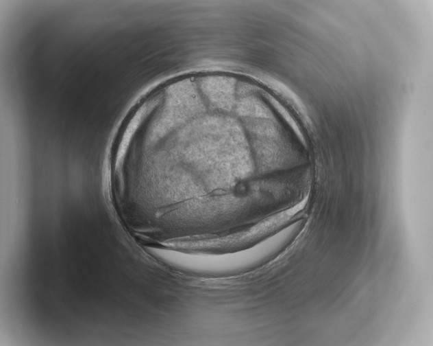 X0000101091280200807241000