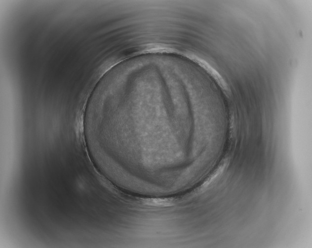 X0000101091281200807241000