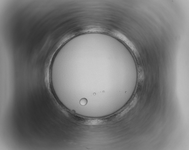 X0000101091282200807241000