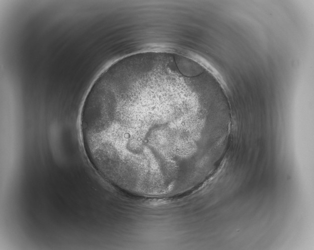 X0000101091283200807241000