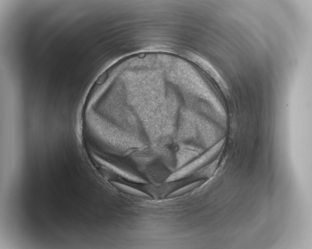 X0000101091284200807241000