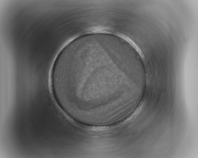 X0000101091285200807241000