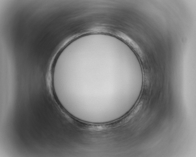 X0000101091286200807241000