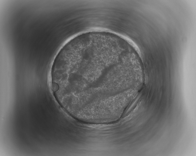 X0000101091287200807241000