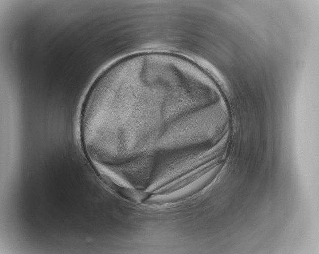 X0000101091288200807241000