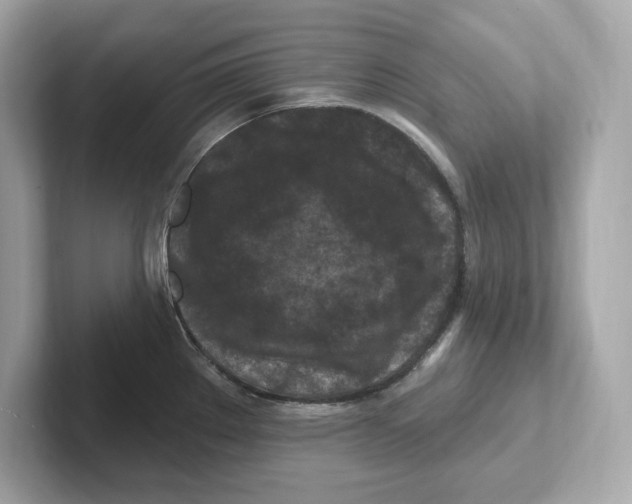 X0000101091289200807241000