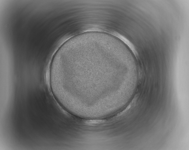 X0000101091290200807241000