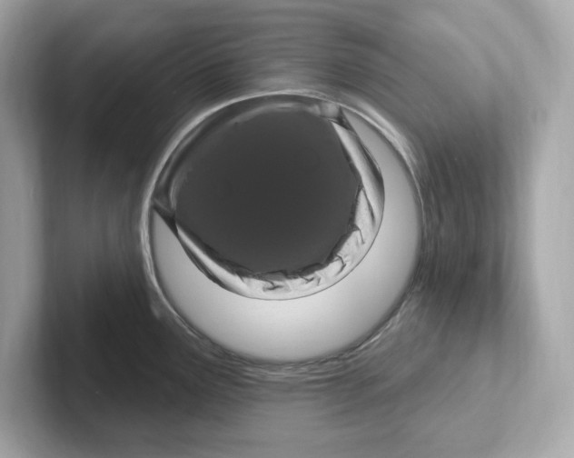 X0000101091291200807241000