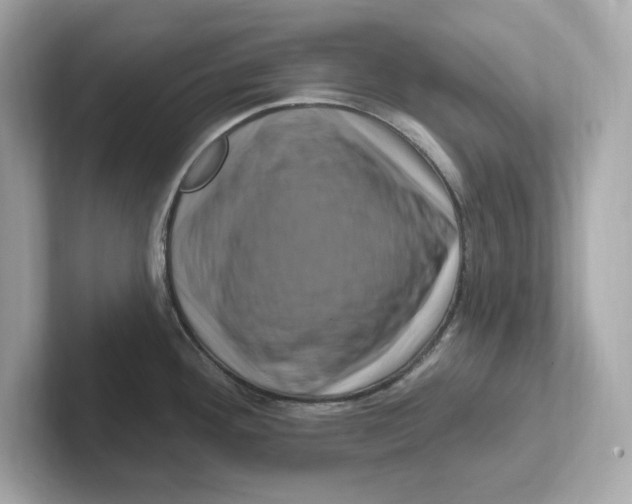 X0000101091292200807241000