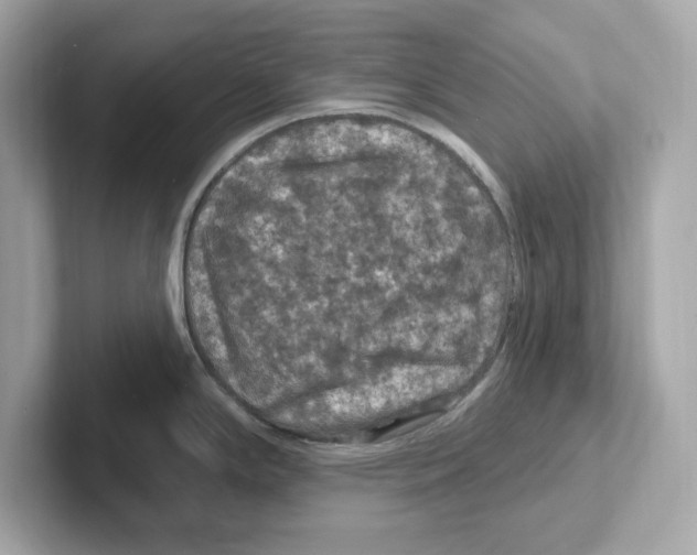 X0000101091294200807241000