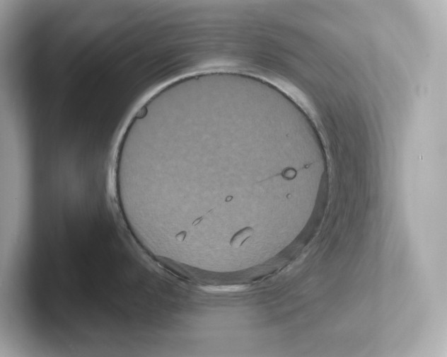 X0000101091296200807241000