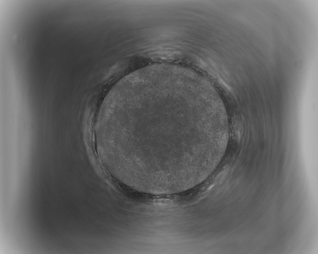 X0000101091297200807240959