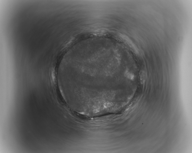 X0000101091298200807240959