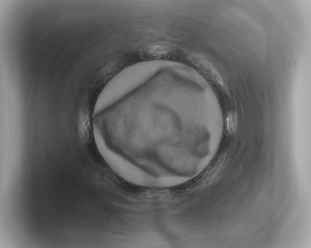 X0000101091299200807240959