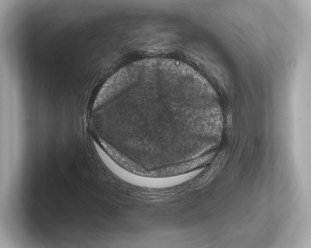 X0000101091300200807240959