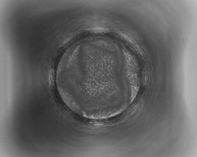 X0000101091301200807240959