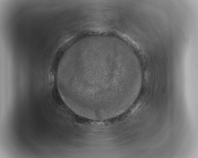 X0000101091302200807240959