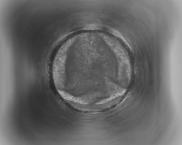 X0000101091304200807240959