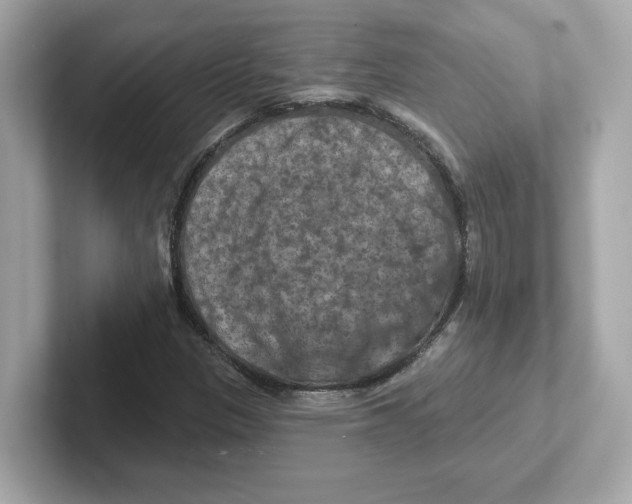 X0000101091305200807240959