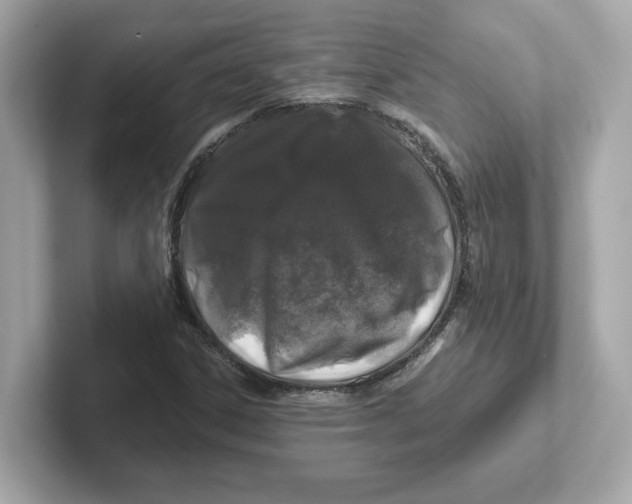 X0000101091306200807240959