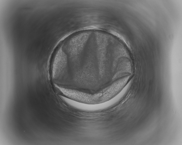 X0000101091308200807240959