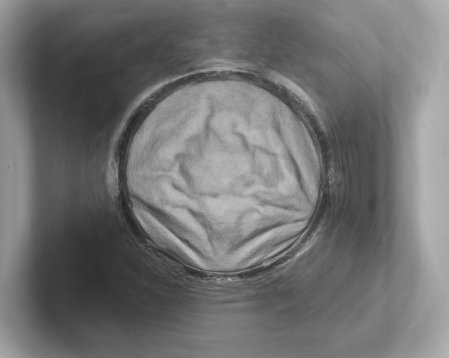 X0000101091310200807240959