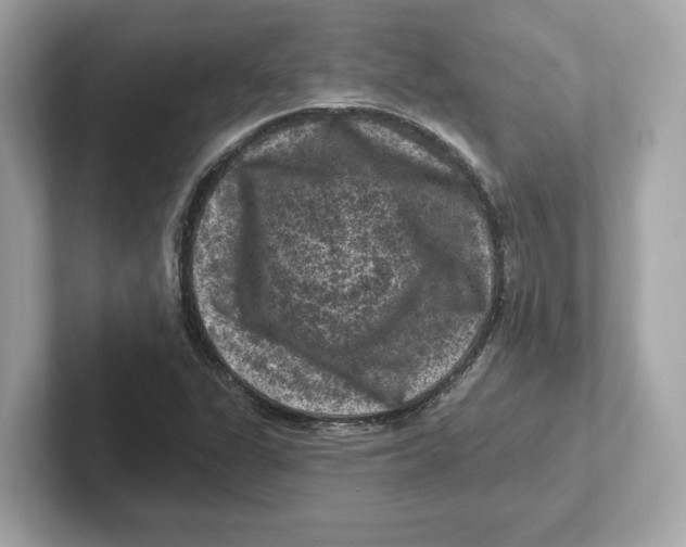 X0000101091311200807240959