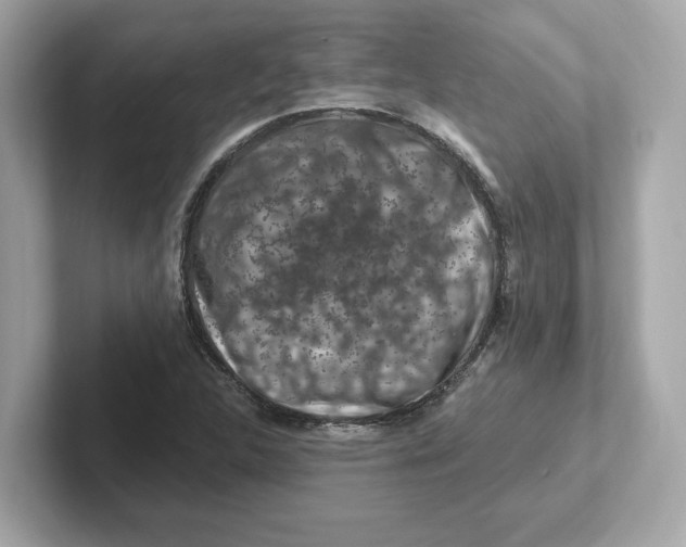 X0000101091312200807240959