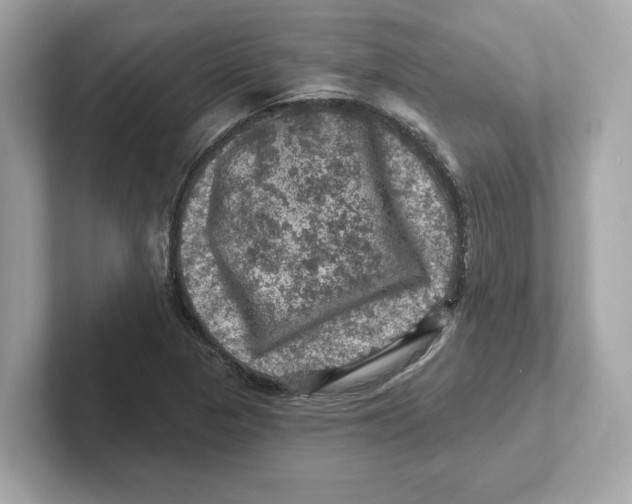 X0000101091313200807240959