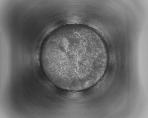 X0000101091314200807240959