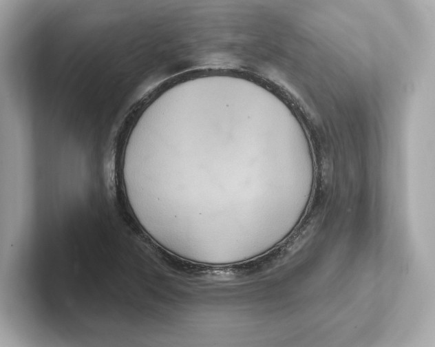 X0000101091315200807240959