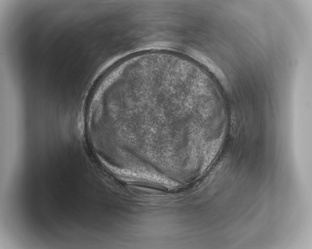 X0000101091316200807240959