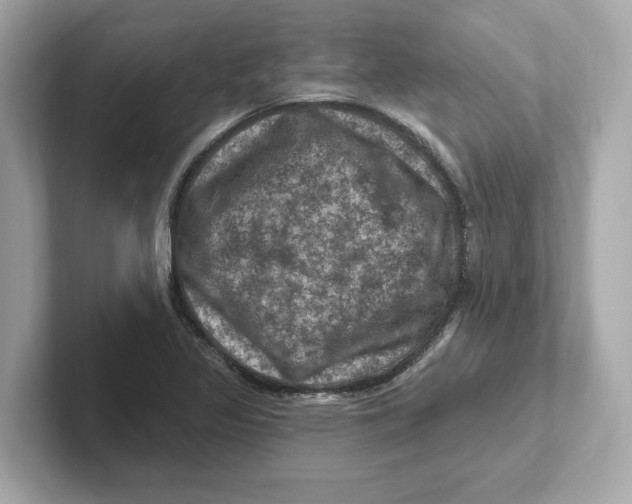 X0000101091317200807240959