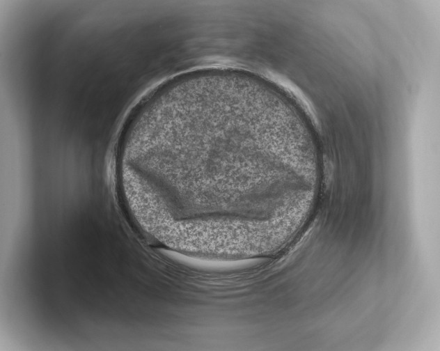 X0000101091318200807240959