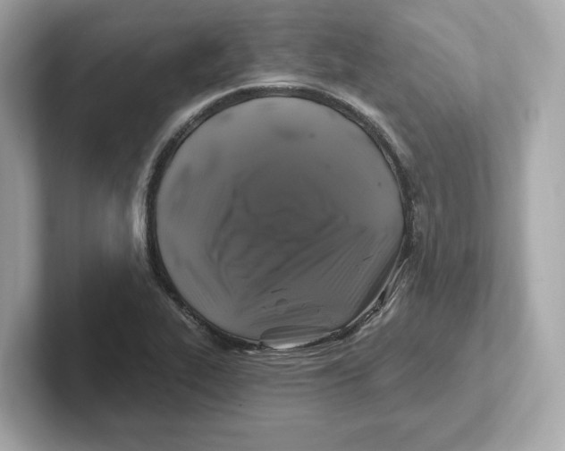 X0000101091319200807240959