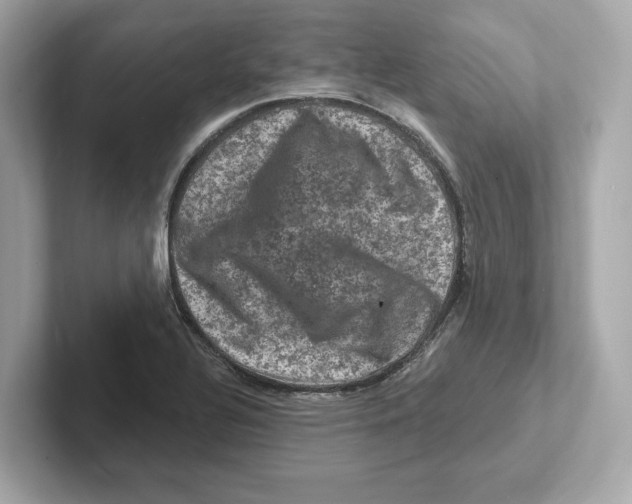 X0000101091320200807240959