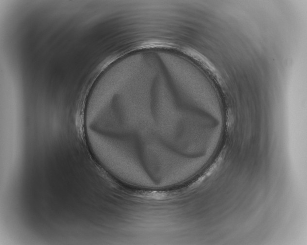 X0000101091321200807240959