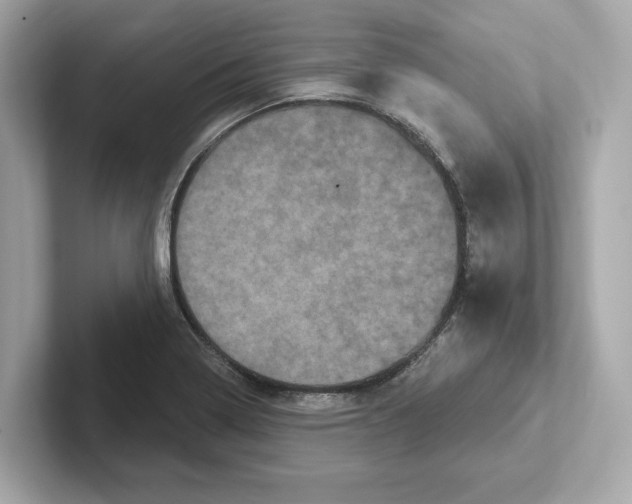 X0000101091322200807240959