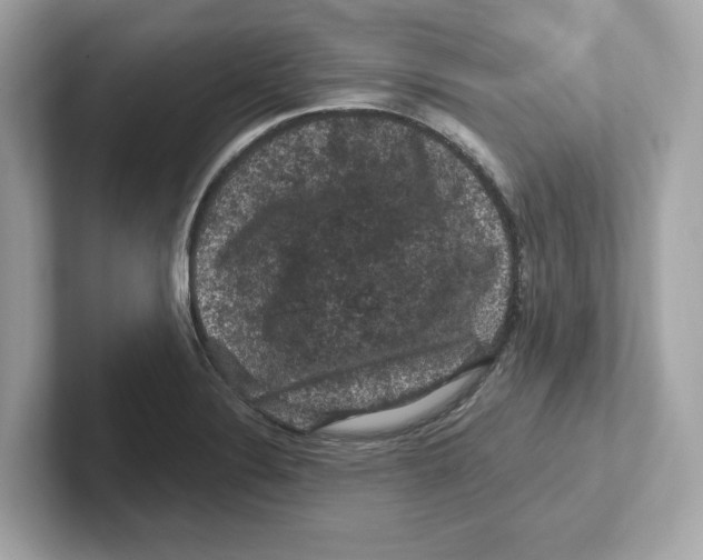 X0000101091324200807241000