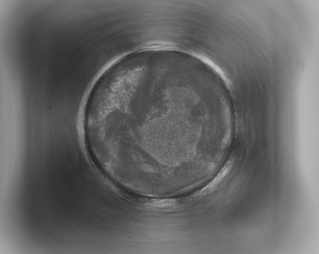 X0000101091325200807241000