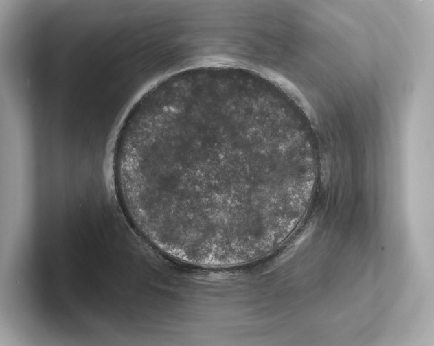 X0000101091326200807241000