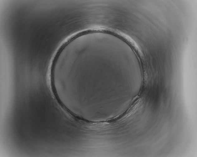 X0000101091327200807241000