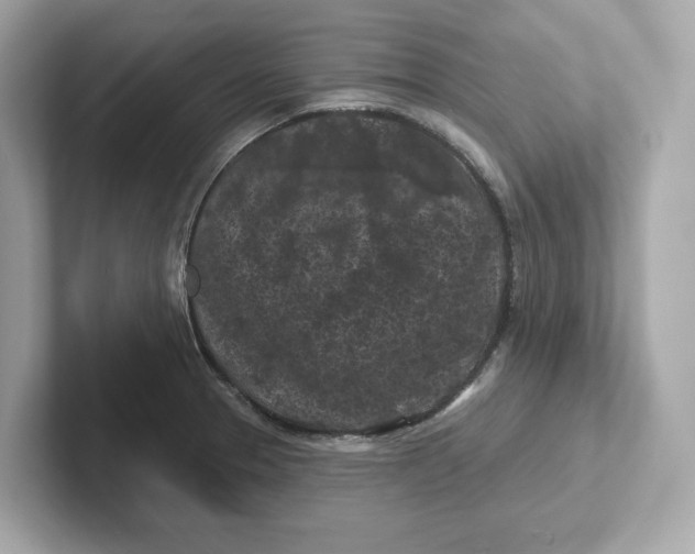 X0000101091329200807241000