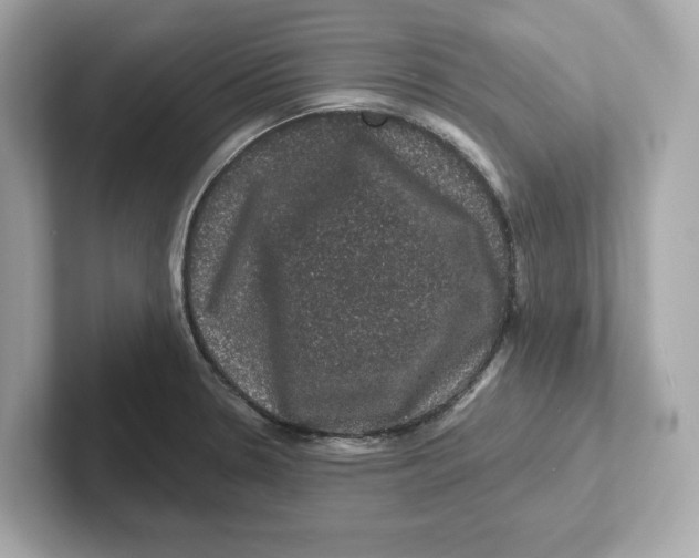 X0000101091330200807241000